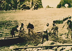 Pescadores japoneses tomaron
parte activa en la pesca en Takeshima
y sus alrededores.( los años 30)
(Foto: Colección privada, cedida por
la "Oficina de Documentos de
Takeshima" del Gobierno de la
Prefectura de Shimane)